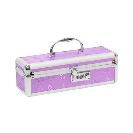 Lockable Discreet Toy Case